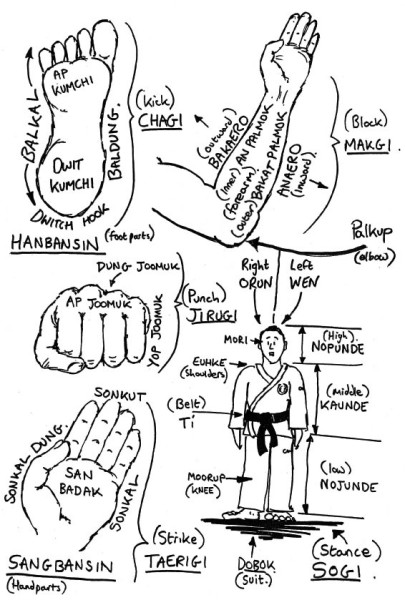Hand and foot parts – Korean names