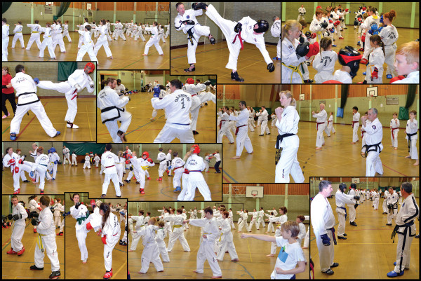 BTKD-taekwondo-grading-web