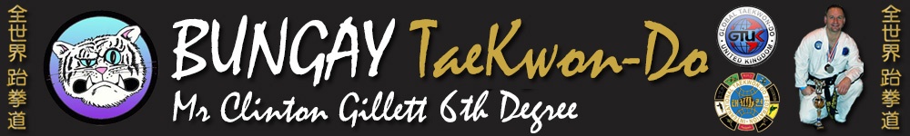 Learn the martial art of Taekwondo at Bungay TaeKwonDo Club, GTUK-East, Norfolk, Suffolk, Waveney